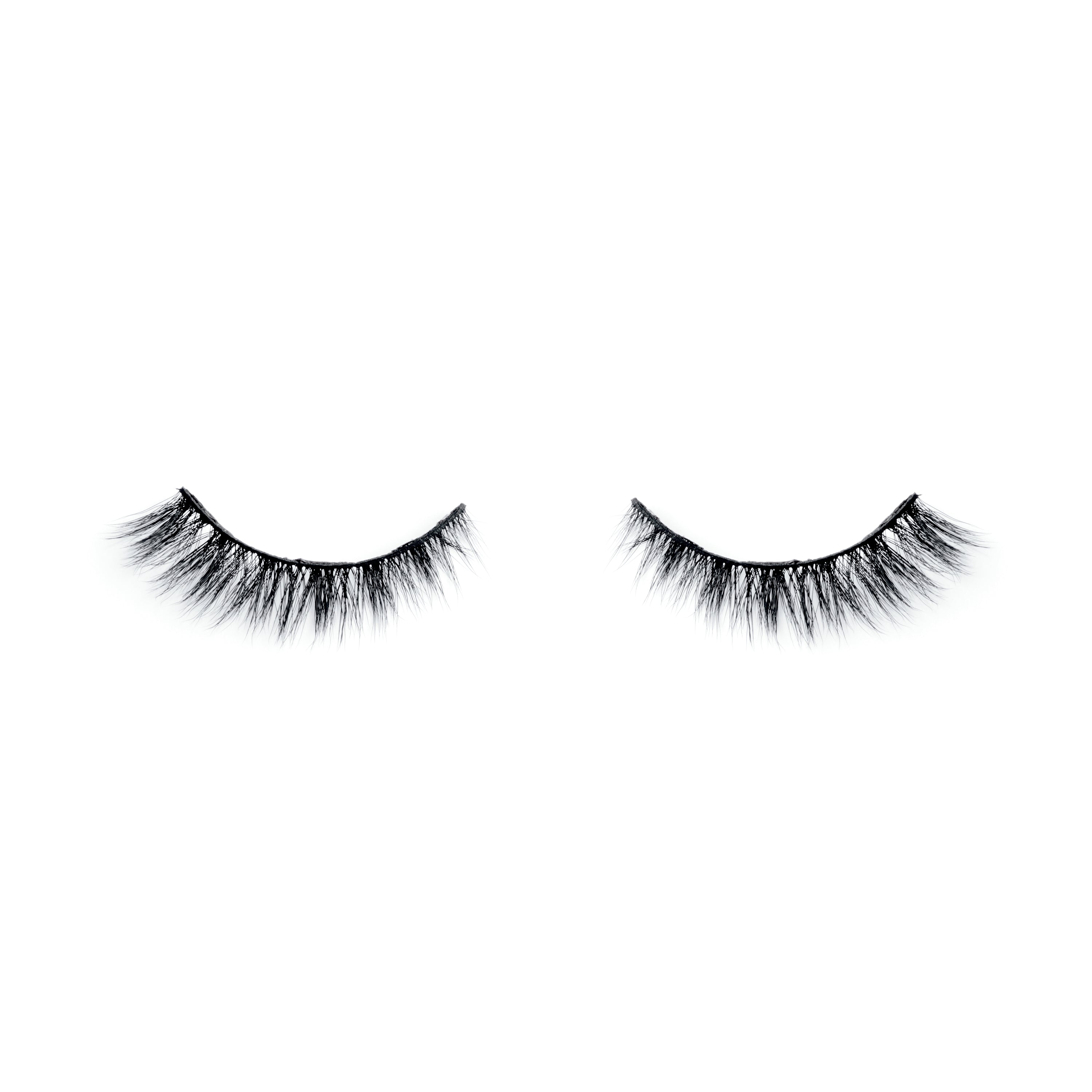 Harvard Lash